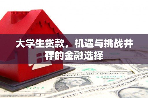 阳泉大学生贷款，机遇与挑战并存的金融选择