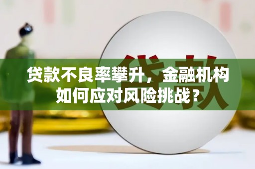 阳泉贷款不良率攀升，金融机构如何应对风险挑战？