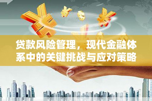 阳泉贷款风险管理，现代金融体系中的关键挑战与应对策略