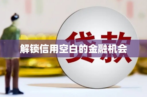 阳泉解锁信用空白的金融机会