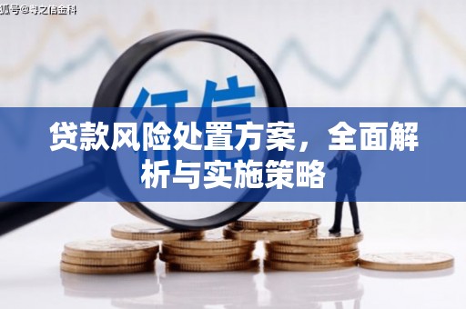 阳泉贷款风险处置方案，全面解析与实施策略